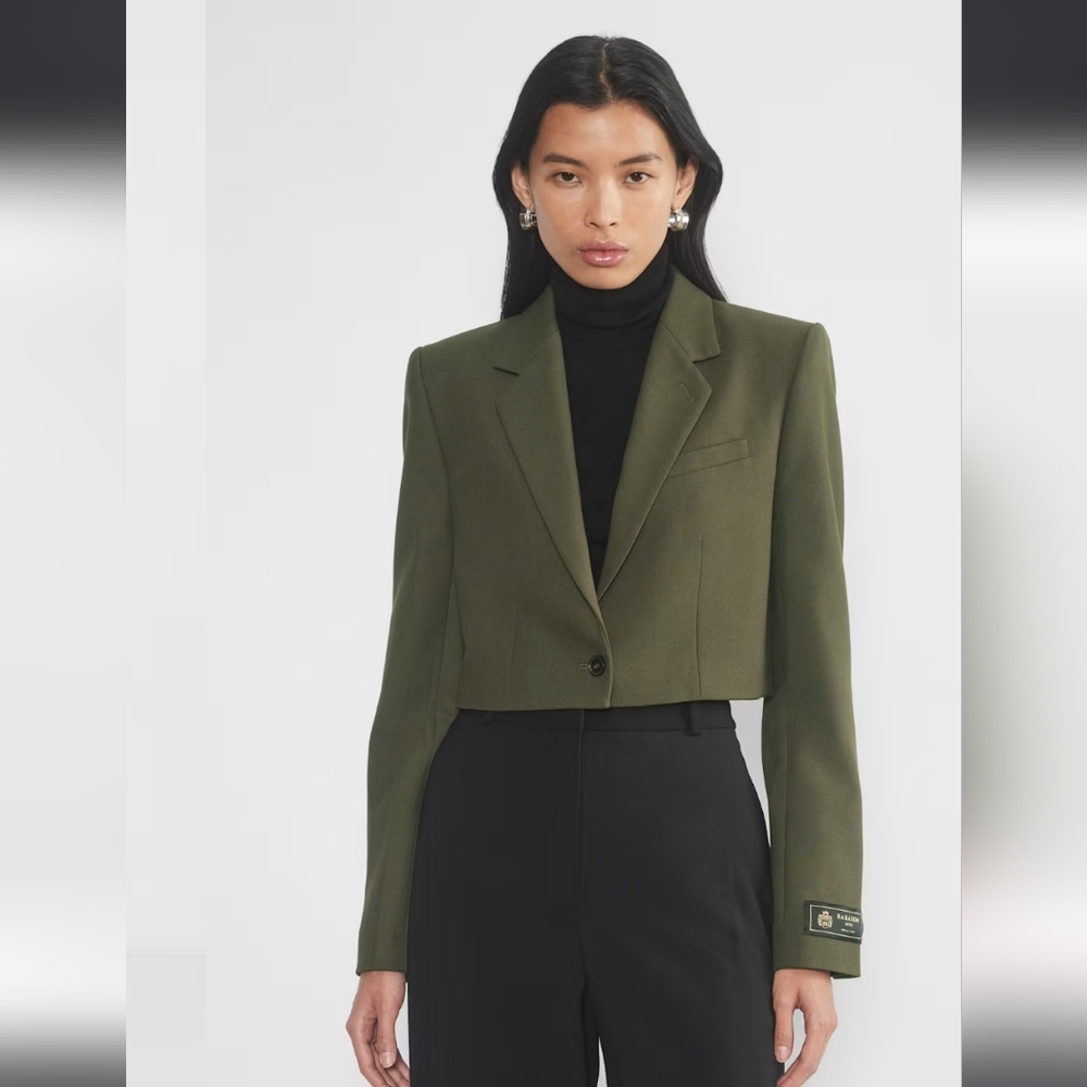 NWT Aritzia Babaton Arbus Blazer Size 8